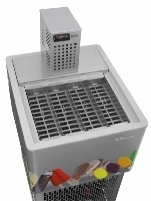 FABRICADORA DE PICOLÉ 1300