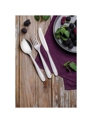 COLHER DE MESA LAGUNA EM AÇO INOX